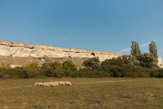 Стадо овец пасётся на лугу у подножия скалы