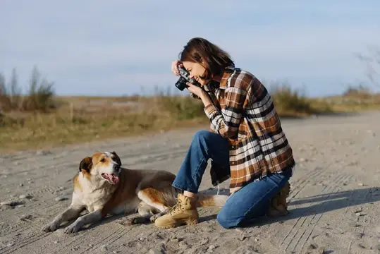 Девушка фотографирует лежащую собаку на песчаной дороге