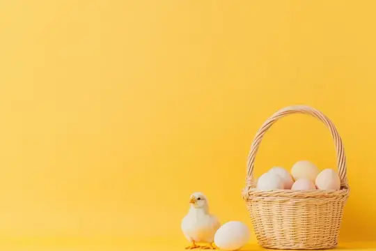 Желтый цыпленок и плетеная корзина с яйцами на желтом фоне