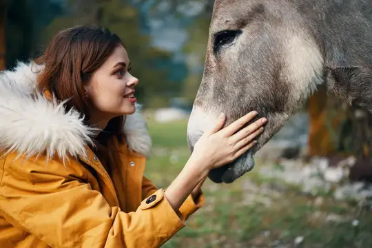 Молодая женщина в жёлтой куртке гладит ослика на природе
