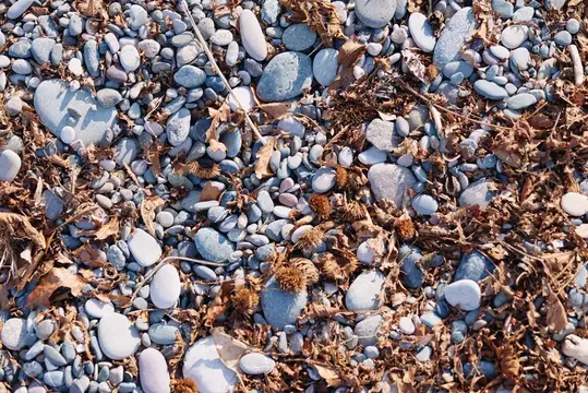 Гладкие серо-голубые камни вперемешку с сухими водорослями на берегу