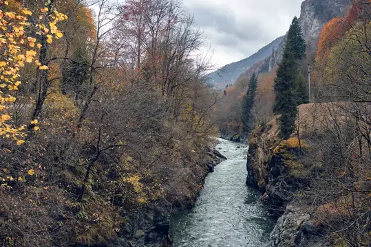 Горный осенний лес, река, пейзаж, природа, путешествия