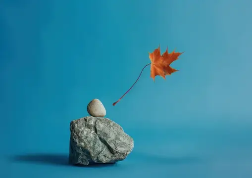 Осенний кленовый лист на тонкой веточке над камнями на синем фоне