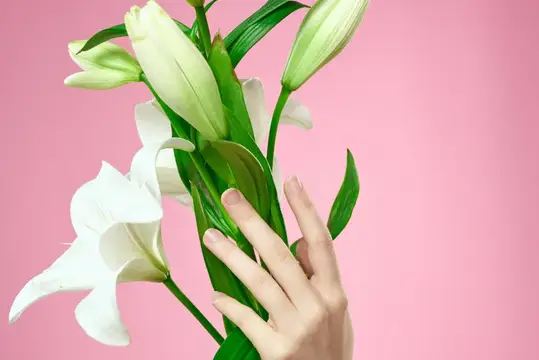 Букет белых цветов и женские руки на розовом фоне