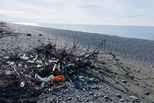 Куча мусора и сухих веток на галечном пляже у моря