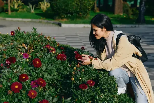 Азиатская девушка с рюкзаком рассматривает красные цветы на клумбе