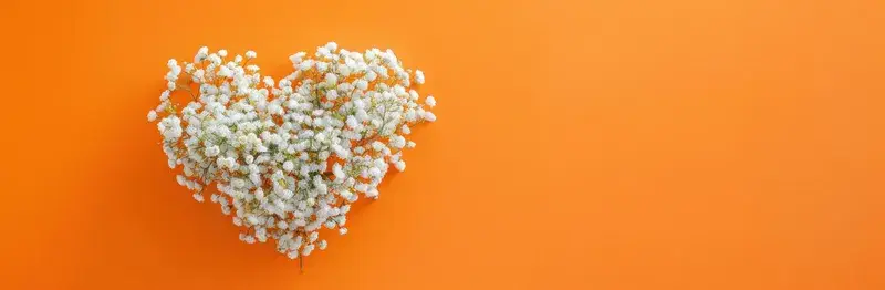 Сердце из белых цветов гипсофилы на оранжевом фоне