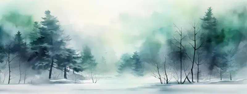 Природа: снег, лед, лес, рождество, зима, красивые деревья, искусство, замерзший сезон, холод, мороз, погода, пейзаж на открытом воздухе