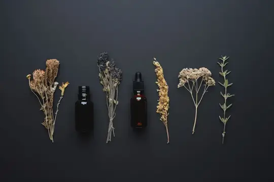 Сушёные травы и флаконы эфирных масел на тёмном фоне