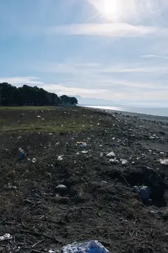 Загрязнённый пластиковым мусором берег моря в пасмурный день