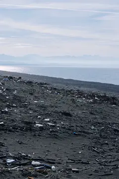 Загрязнённый пластиком и мусором пустынный берег моря