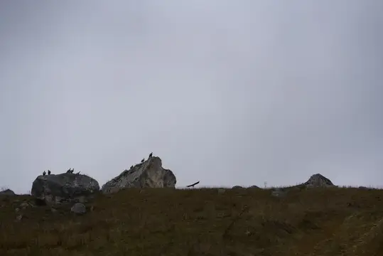 Одинокие скалы на холме под пасмурным небом