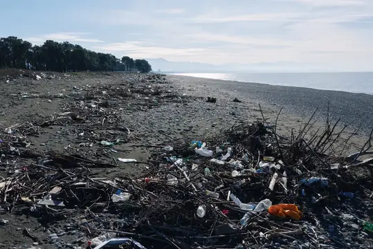 Загрязнённый пластиком и корягами пустой берег у моря