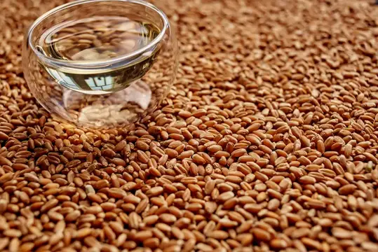 Стеклянная чашка с зелёным чаем на рассыпанных зёрнах пшеницы
