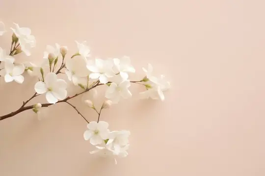 Цветение, сад, флора, фон, украшение, цвет, лепесток, цветок, сезон, фон, розовый, красота, цветение, природа, крупный план, белый, весна, ветка, растение