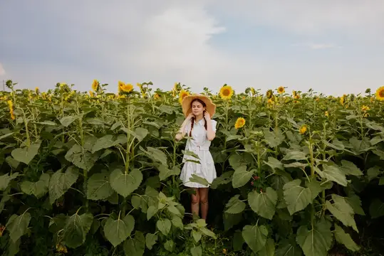 Женщина с косичками в поле с цветущими подсолнухами, летнее время