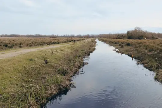 Вид на речной канал: спокойная вода отражает облака, травянистые берега и тростник вдоль водно-болотных угодий в сельской местности, природа на свежем воздухе, спокойное и тихое настроение