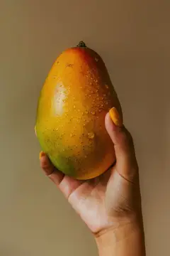 Яркое манго, частично зеленое и оранжевое, в руке с желтыми ногтями на гладком нейтральном фоне