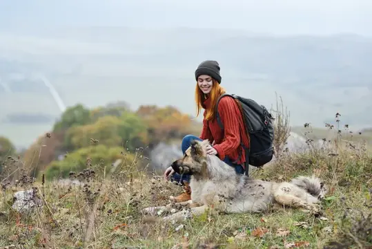 Женщина-туристка играет с собакой на свежем воздухе в горах, наслаждаясь природой