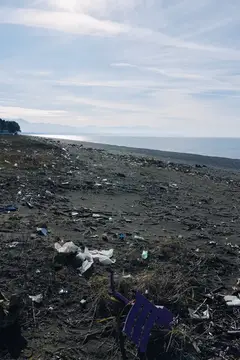 Загрязнённый пластиковым мусором пустынный берег моря под пасмурным небом