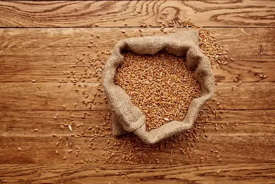 Мешковина с пшеничными зёрнами на деревянном столе