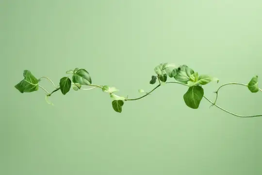 Тонкая зелёная веточка с листьями на нежно-мятном фоне