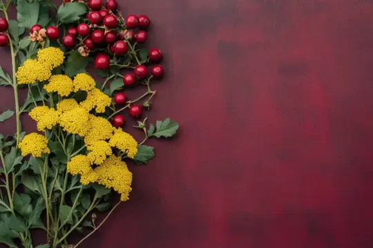 Ветки с красными ягодами и жёлтыми цветами на бордовом фоне