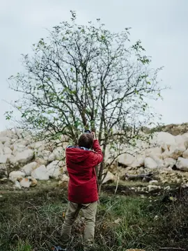 Мальчик в красной куртке фотографирует дерево среди камней