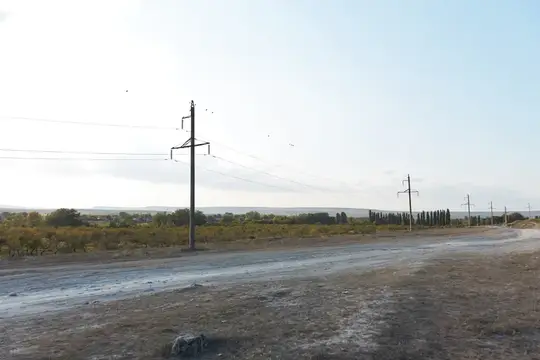 Пустынная грунтовая дорога с деревянными столбами под бледным небом