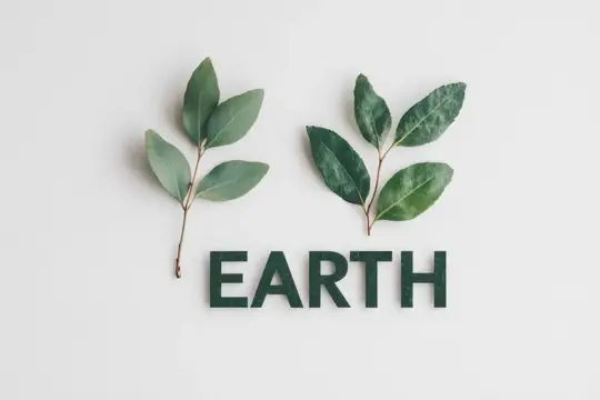 Две веточки зелёных листьев и надпись Earth на белом фоне