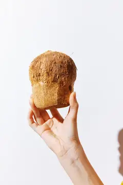 Рука держит маленький кокос на белом фоне