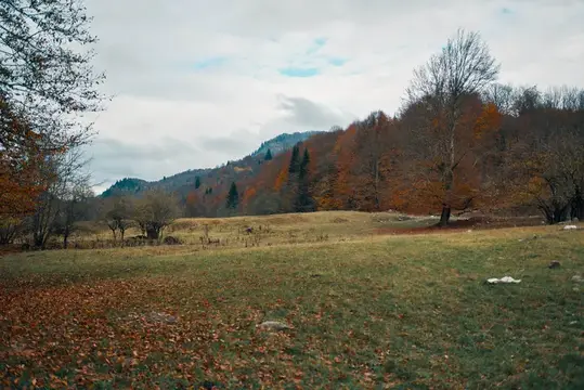 Осенний пейзаж с луговиной, деревьями в рыжей листве и горами под облачным небом