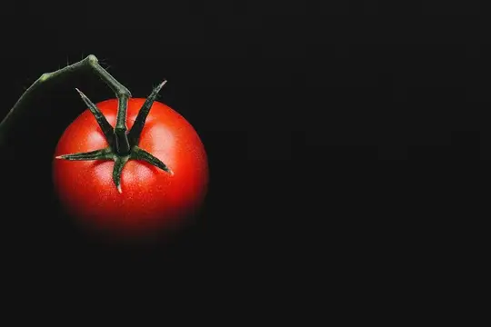 Спелый красный помидор с зеленой веточкой на черном фоне