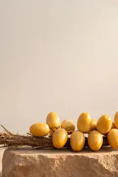 Спелые жёлтые финики на ветке лежат на светлом камне