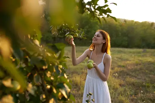 Женщина в белом платье на природе собирает яблоки с фруктового дерева