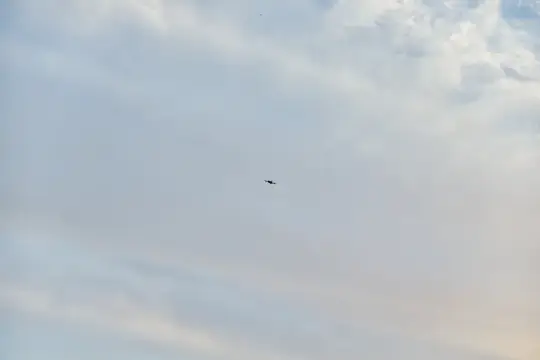 Одинокая птица летит в пасмурном небе