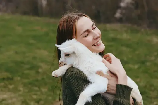 Улыбающаяся девушка обнимает белого козлёнка на зелёном лугу