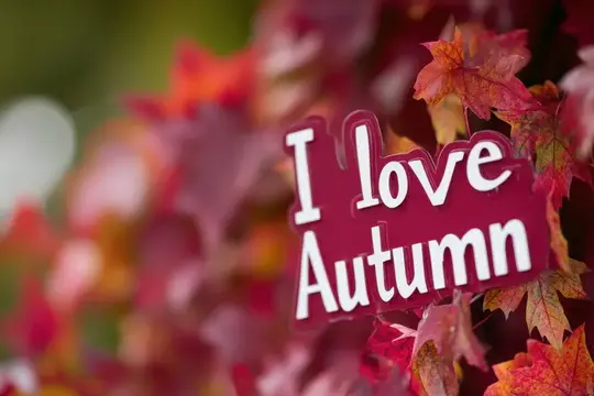 Табличка I love Autumn среди красных осенних листьев