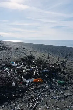 Загрязнённый пластиком и ветками пустынный берег моря