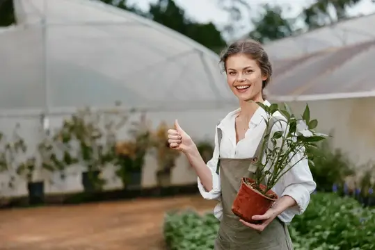 Улыбчивая женщина в фартуке с растением в горшке показывает большой палец вверх у теплицы