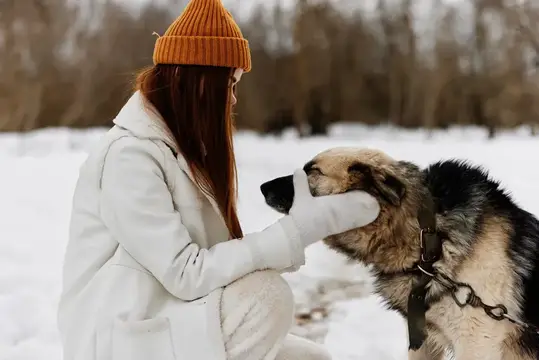Рыжеволосая девушка в белом пальто гладит собаку на зимней прогулке
