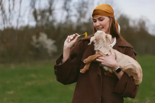 Естественный момент, показывающий нежное взаимодействие между опекуном и молодым козленком на открытом воздухе при ярком свете