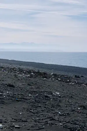 Одинокий прибрежный пейзаж с загрязненным пляжным мусором, темным песком и спокойной водой, далеким горизонтом и туманной атмосферой, подчеркивающий загрязнение окружающей среды и охрану побережья в…