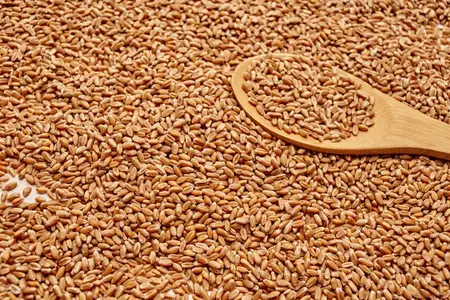 Деревянный стол с натуральными продуктами на деревянном фоне