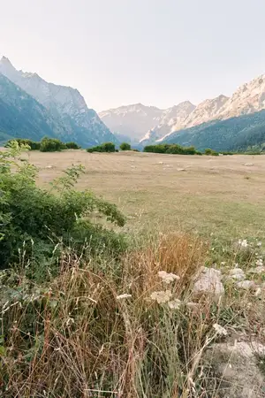 Горы, луг, долина, трава, полевые цветы, пейзаж, природа, небо
