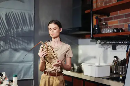 Молодая женщина держит свежее зеленое растение в интерьере современной кухни, готовясь к приготовлению здоровой еды