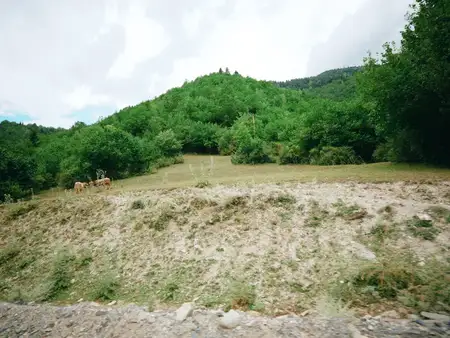 Луг на склоне холма и лесистые склоны с грунтовой дорогой на переднем плане