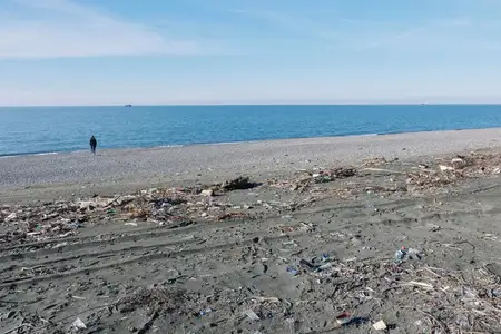 Береговая линия с морем и мусором демонстрирует загрязнение пляжа