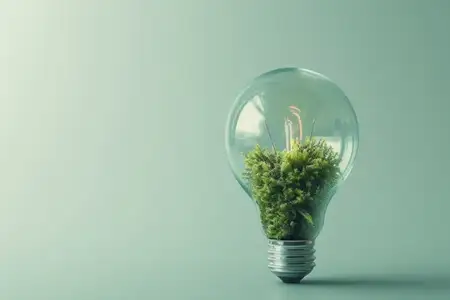 Лампочка с растением внутри на зеленом фоне