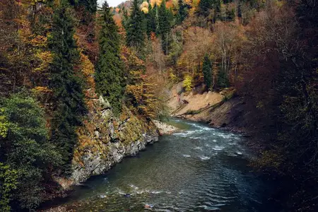 Горы в лесу, осенняя река, пейзаж, природа, свежий воздух